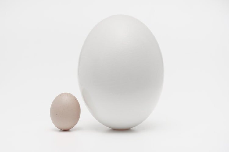 How to Leverage Investments: Risk vs. Reward